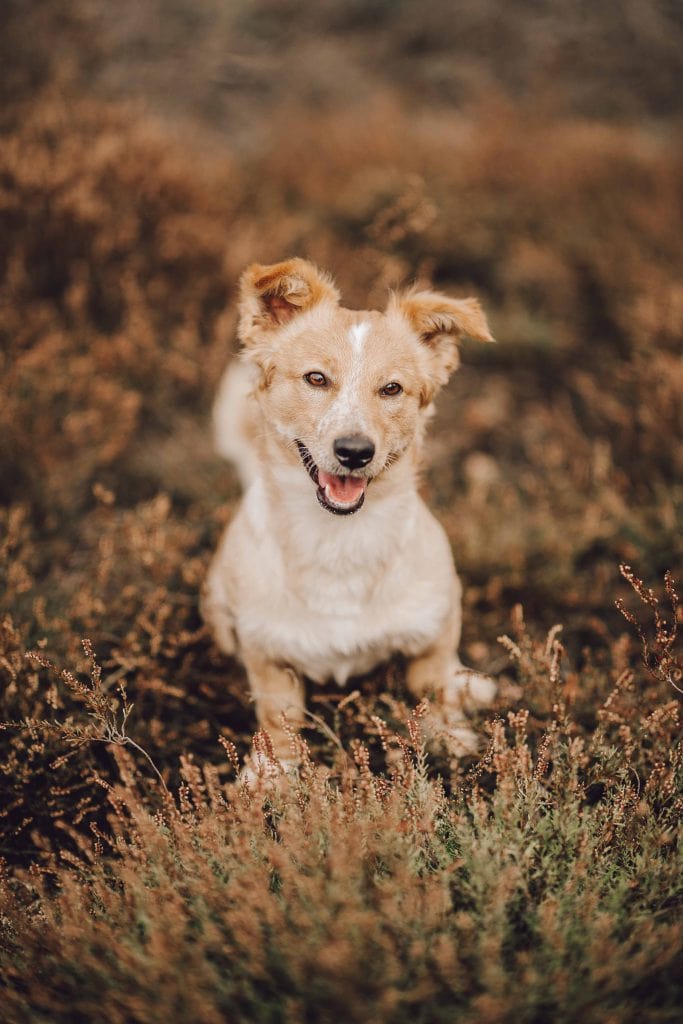 Paarshooting Laura und Christian