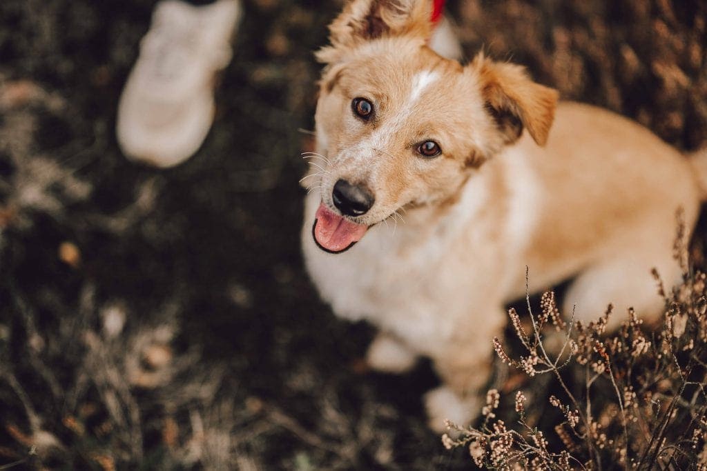 Paarshooting Laura und Christian