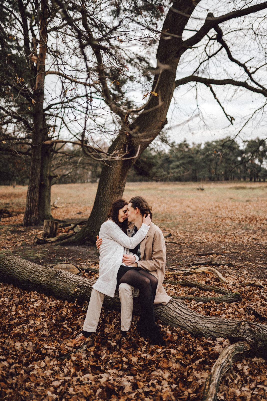 Hochzeitsfotograf Osnabrück Münster Paar küsst sich auf einem Baumstamm